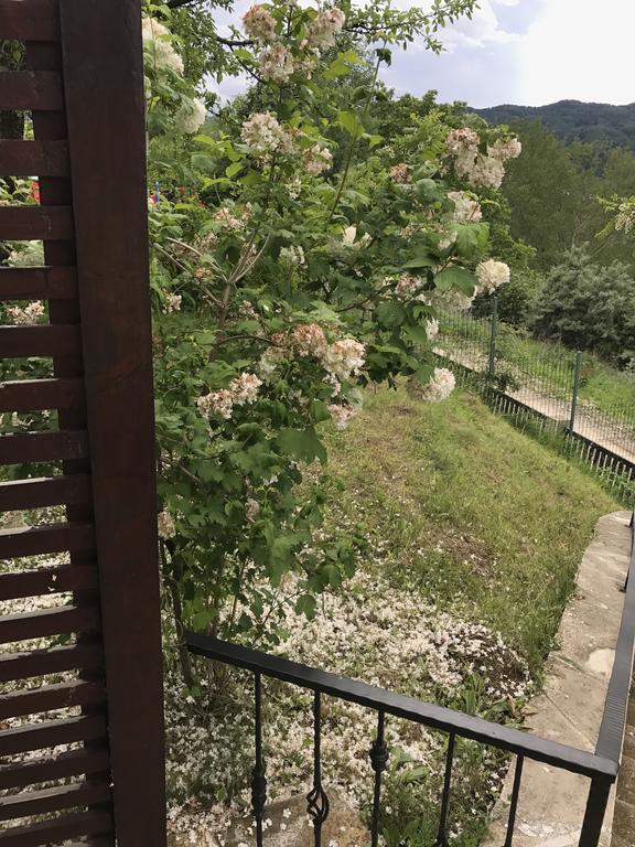 Cabana Breaza - Skyview Cottage Luaran gambar